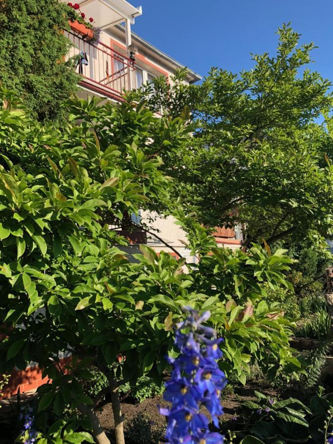 Pensjonat Victoria Hotel Miedzyzdroje Eksteriør billede
